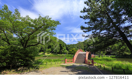 Summer at Shomyoji Temple 127816411