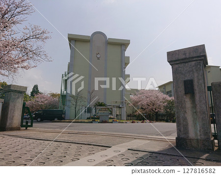 櫻花和校門 127816582