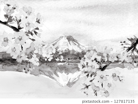 Monotone illustration of a mirror Fuji reflected in a lake in spring with cherry blossoms painted in watercolors [hand-drawn] Copy space 127817135