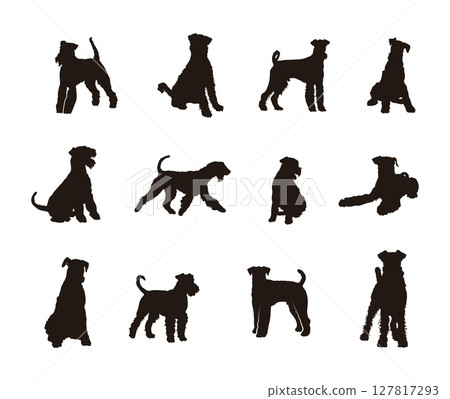 Airedale terrier dog silhouettes, Airedale terrier dog silhouette set Airedale terrier dog silhouettes, Airedale terrier dog silhouette set 127817293