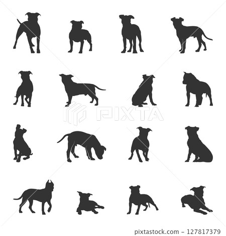 American staffordshire terrier silhouettes, Staffordshire terrier silhouette 127817379