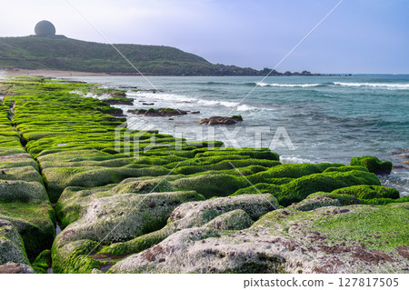 Verdant Coastal Rocks at Laomei Green Reef in Spring, Shimen Taiwan. Verdant Coastal Rocks at Laomei Green Reef in Spring, Shimen Taiwan. 127817505