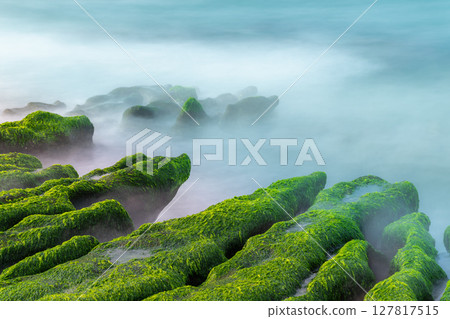 Vibrant Spring Algae Reef at Laomei Green Reef in Shimen, Taiwan. 127817515