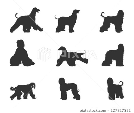 Afghan hound dog silhouettes, Afghan hound silhouettes, Afghan hound SVG 127817551