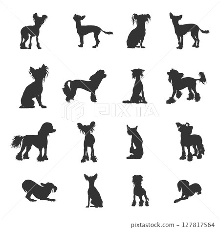 Chinese crested dog silhouettes 127817564