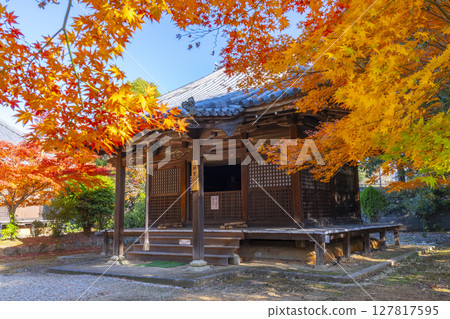 京都的秋天,山科,安商寺,大志堂 京都的秋天,山科,安商寺,大志堂 127817595