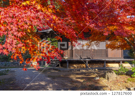 Autumn in Kyoto, Yamashina, Anjoji Temple, Jizo Hall 127817600