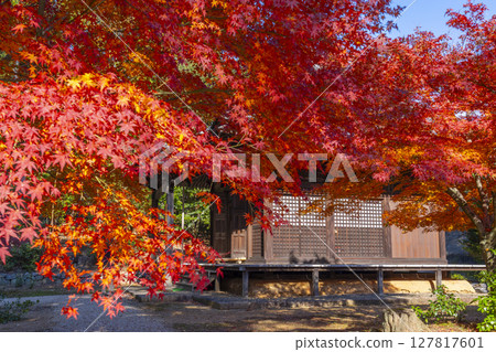 京都的秋天，山科，安城寺，地藏殿 127817601