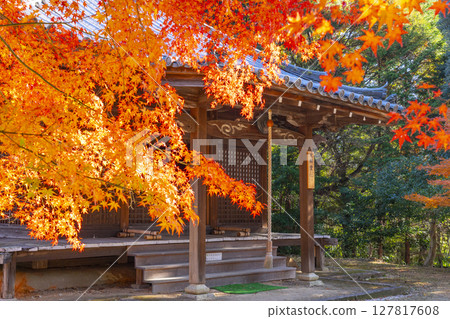 Autumn in Kyoto, Yamashina, Anshoji Temple, Daishido Autumn in Kyoto, Yamashina, Anshoji Temple, Daishido 127817608