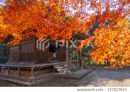 Autumn in Kyoto, Yamashina, Anshoji Temple, Daishido 127817615