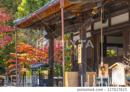 京都的秋天,山科,安城寺,觀音堂 京都的秋天,山科,安城寺,觀音堂 127817625