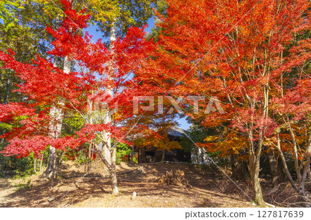 京都的秋天,山科,安商寺,大志堂 京都的秋天,山科,安商寺,大志堂 127817639