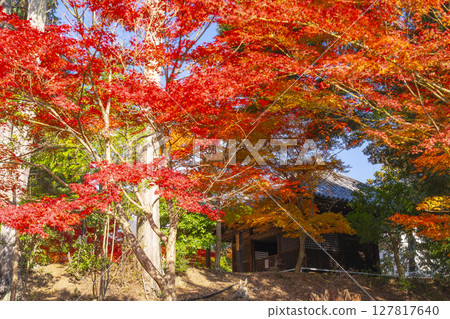 京都的秋天,山科,安商寺,大志堂 京都的秋天,山科,安商寺,大志堂 127817640
