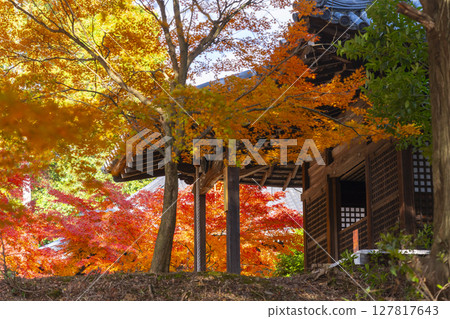 Autumn in Kyoto, Yamashina, Anshoji Temple, Daishido Autumn in Kyoto, Yamashina, Anshoji Temple, Daishido 127817643