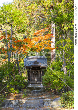 Autumn in Kyoto, Yamashina, Anjoji Temple, Bentensha Shrine Autumn in Kyoto, Yamashina, Anjoji Temple, Bentensha Shrine 127817646