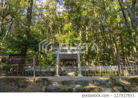 京都的秋天,山科,安祥寺,清龍殿和苔龍 京都的秋天,山科,安祥寺,清龍殿和苔龍 127817651