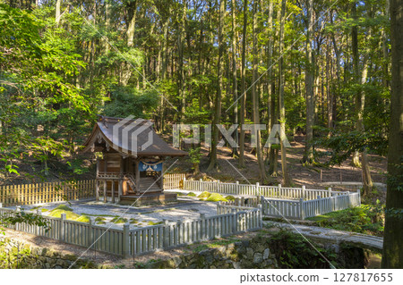 京都的秋天，山科，安祥寺，清龍殿和苔龍 127817655