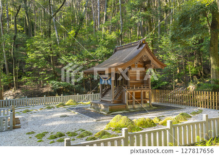 京都的秋天，山科，安祥寺，清龍殿和苔龍 127817656