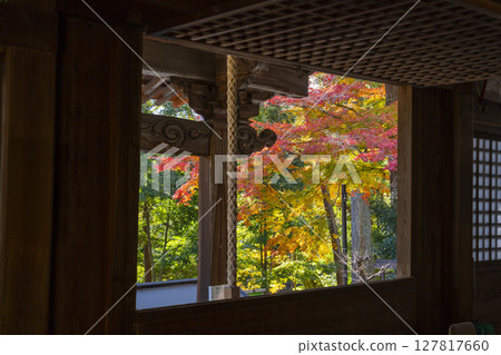 Autumn in Kyoto, Yamashina, Anjoji Temple, view from the main hall Autumn in Kyoto, Yamashina, Anjoji Temple, view from the main hall 127817660
