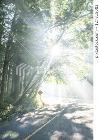 奧大山，新綠環繞，道路燈光閃耀的風景 127818082