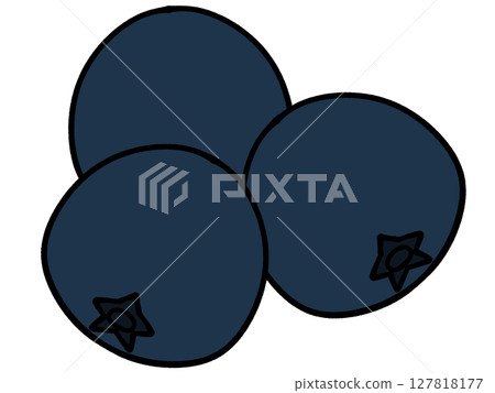 簡單的藍莓插畫素材 簡單的藍莓插畫素材 127818177