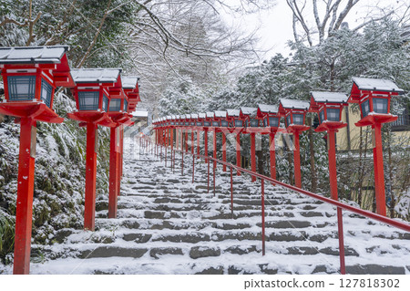 Winter in Kyoto: Kifune Shrine: A beautiful approach lined with Kasuga lanterns Winter in Kyoto: Kifune Shrine: A beautiful approach lined with Kasuga lanterns 127818302