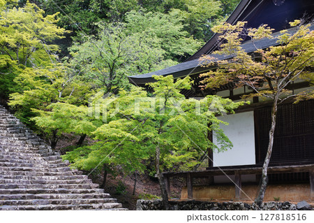 京都高尾神護寺的莊嚴景象－五大堂 127818516