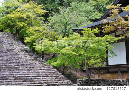 京都高尾神護寺的莊嚴景象－五大堂 127818517