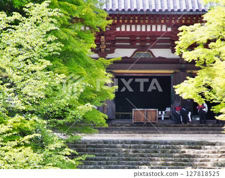 京都高尾神護寺的莊嚴景象:正殿與石階 京都高尾神護寺的莊嚴景象:正殿與石階 127818525