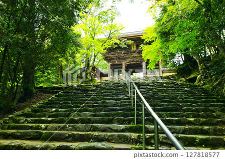 京都高雄神護寺的莊嚴景象 神護寺塔門 127818577