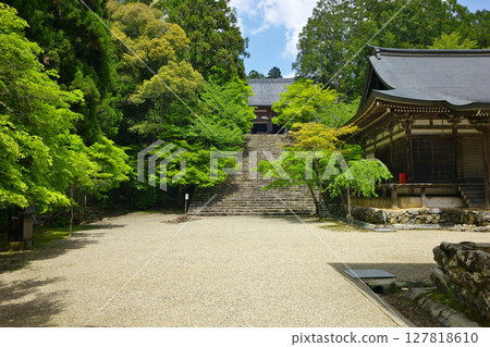 京都高雄神護寺的莊嚴景象 京都高雄神護寺的莊嚴景象 127818610