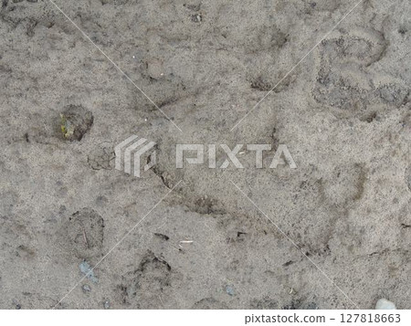 dirty dusty surface of the earth or natural soil substance, ash or manure in a dried state, gray natural desert lifeless background with uneven relief dense surface texture dirty dusty surface of the earth or natural soil substance, ash or manure in a dried state, gray natural desert lifeless background with uneven relief dense surface texture 127818663