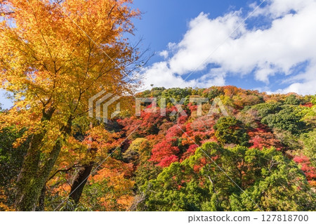 大阪府箕面市箕面公園的紅葉 127818700