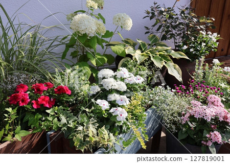 Summer flower group planting & group pot in front of the entrance Summer flower group planting & group pot in front of the entrance 127819001