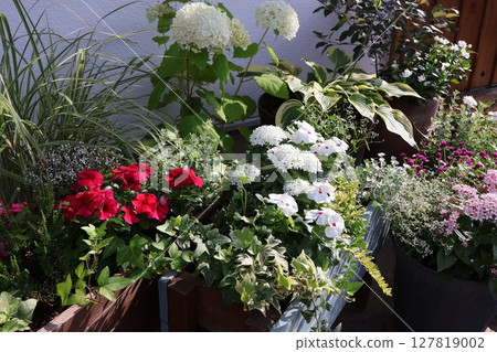 Summer flower group planting & group pot in front of the entrance 127819002