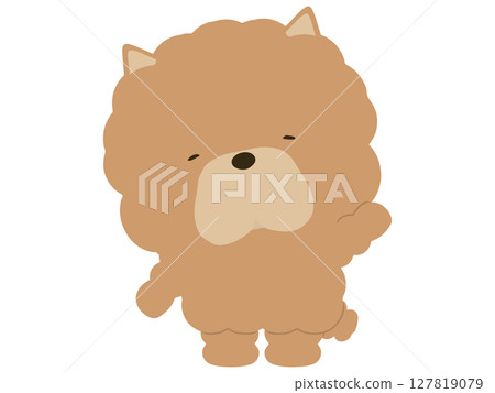 鬆獅犬舉手 127819079