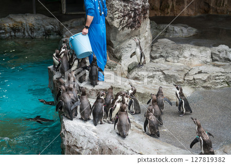長崎企鵝水族館 127819382
