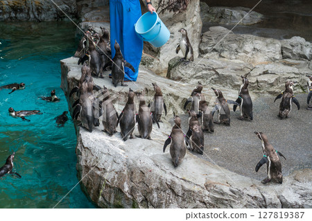 長崎企鵝水族館 127819387