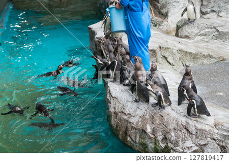 長崎企鵝水族館 127819417
