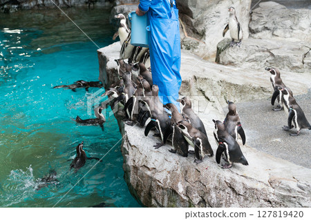 長崎企鵝水族館 127819420