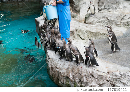 長崎企鵝水族館 長崎企鵝水族館 127819421