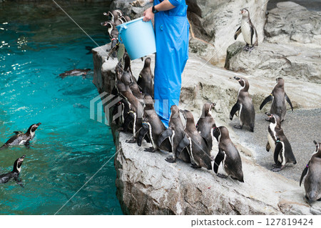 長崎企鵝水族館 127819424