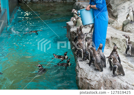 長崎企鵝水族館 127819425