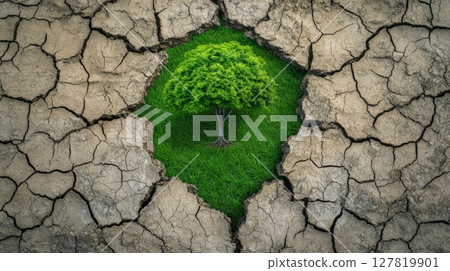 Lush green tree growing amidst cracked dry earth, symbolizing resilience, hope, and rebirth in a challenging environment, highlighting themes of sustainability and environmental conservation 127819901