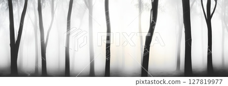 Mysterious black and white panorama capturing a foggy forest with tall trees vanishing into mist, evoking a serene and ethereal atmosphere perfect for nature themed projects 127819977