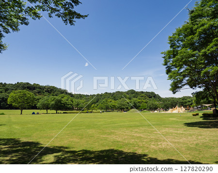 "Light and Wind Square" in the 21st Century Forest and Square in Matsudo City, Chiba Prefecture "Light and Wind Square" in the 21st Century Forest and Square in Matsudo City, Chiba Prefecture 127820290