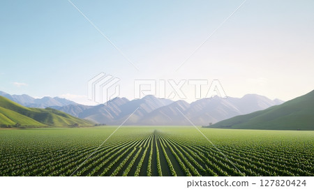 Rows of vibrant green crops stretch towards a majestic mountain range, showcasing sustainable agriculture practices in a picturesque valley bathed in sunlight 127820424