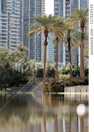 City park with lush greenery and palms near buildings, landscaping, arrangement of urban spaces. City park with lush greenery and palms near buildings, landscaping, arrangement of urban spaces. 127820438