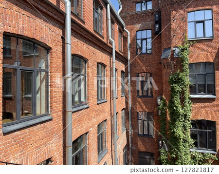 Charming Brick Architecture with Lush Ivy in a Vibrant Urban Setting and Environment Charming Brick Architecture with Lush Ivy in a Vibrant Urban Setting and Environment 127821817