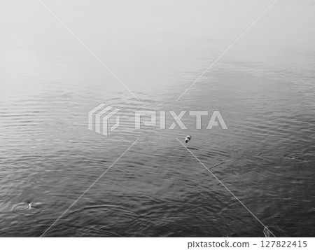 Serene Waterscape Immerse in Tranquility with Stunning Black and White Imagery 127822415